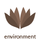 environment